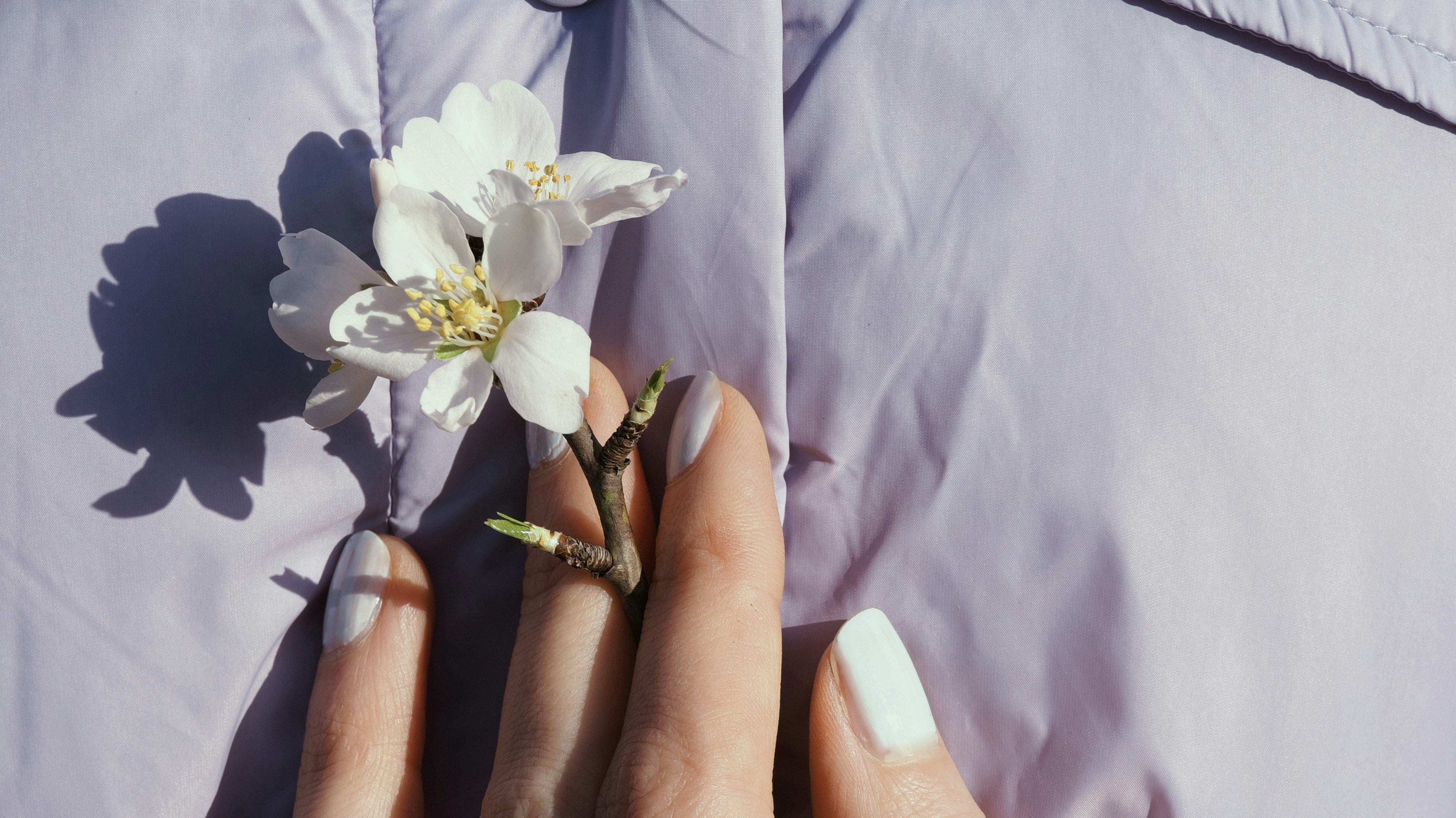 Die Kunst des Blumenarrangierens