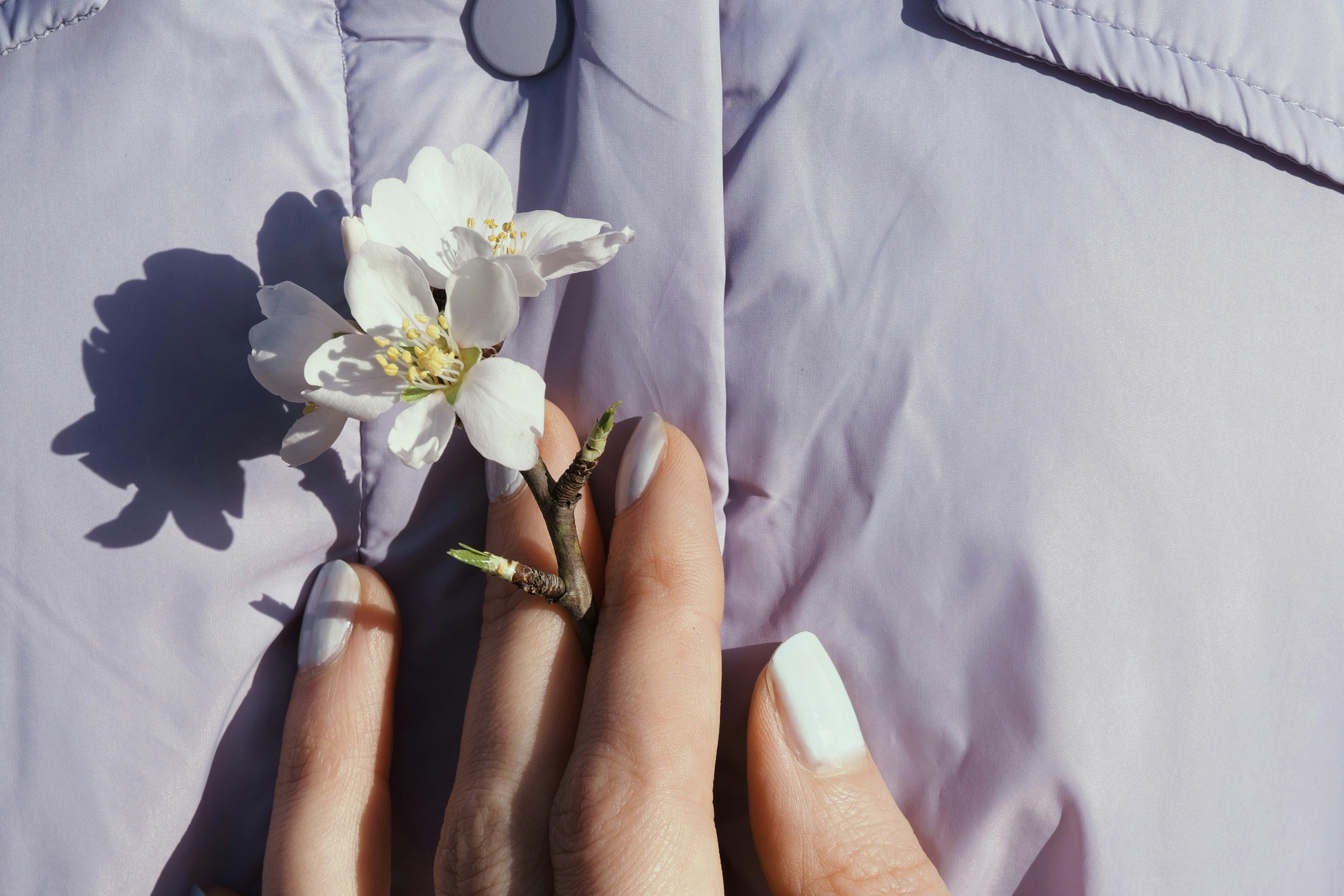 Die Kunst des Blumenarrangierens