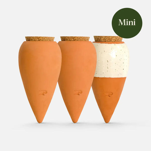 Pepin Mini-Olla Trio 3er-Set – kleine Töpfe Ferienbewässerung